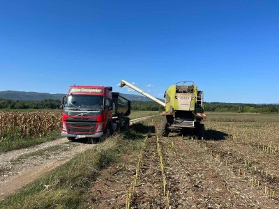 Gazdinstvo Nekšanović - tov junadi, žetva suncokreta