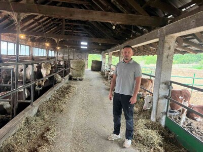 Gazdinstvo Nekšanović - tov junadi, žetva suncokreta