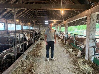 Gazdinstvo Nekšanović - tov junadi, žetva suncokreta