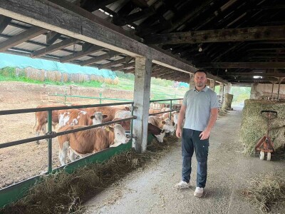 Gazdinstvo Nekšanović - tov junadi, žetva suncokreta