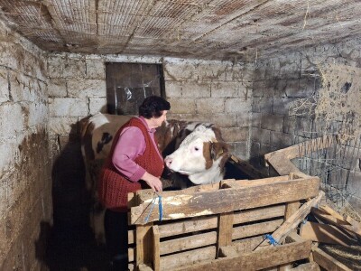 Gazdinstvo porodice Adamović iz Vine