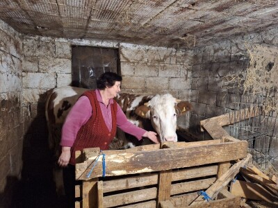 Gazdinstvo porodice Adamović iz Vine