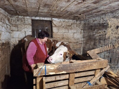 Gazdinstvo porodice Adamović iz Vine