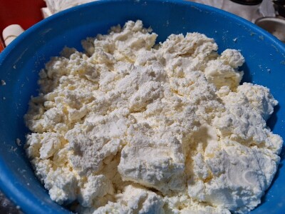 Gazdinstvo porodice Adamović iz Vine