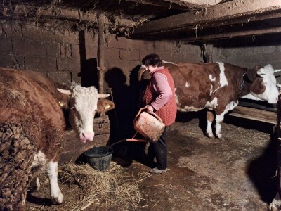 Gazdinstvo porodice Adamović iz Vine