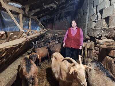 Gazdinstvo porodice Adamović iz Vine