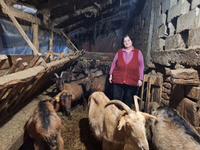 Gazdinstvo porodice Adamović iz Vine