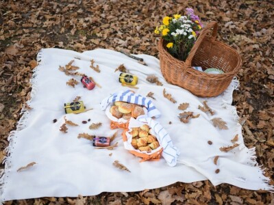 Gazdinstvo Stevanović raspolaže sa 130 pčelinjih društava