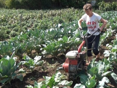 Bitni su volja i ljubav prema zemlji