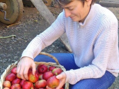 Uzgajaju stare sorte jabuka