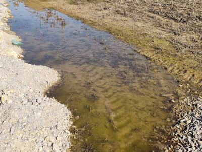 GDE SE ODNOSI ZAGAĐENA ZEMLJA