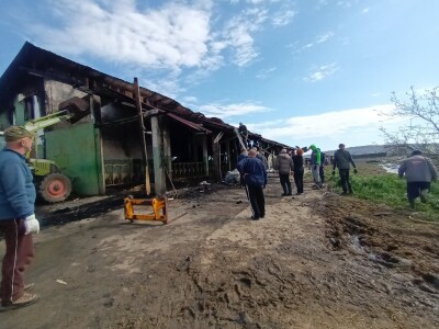 Sirana Lenđel u Podolju Sirana Lenđel u Podolju