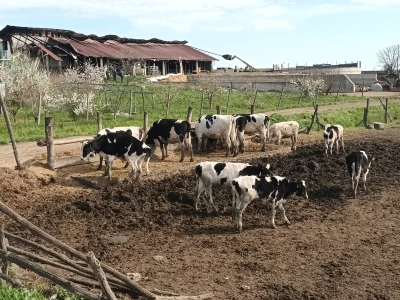 Sirana Lenđel u Podolju