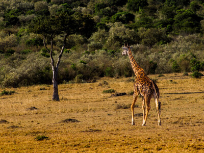 Agrarni novinari u Keniji
