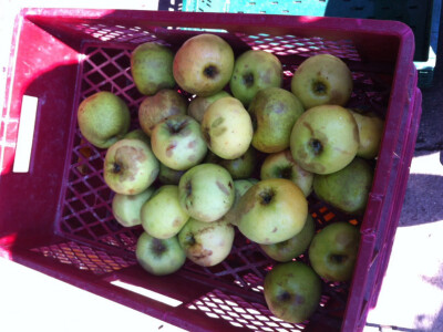 porodica-mujcic-iz-kozaruse11