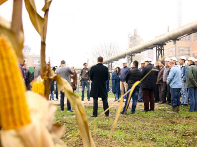 Testiranje đubriva KAN na oglednom polju kukuruza