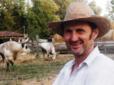 Farma Glavačević - Slukin