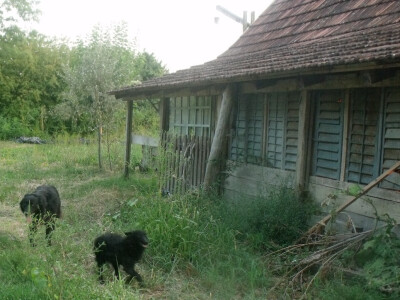 Tu je i štala, i hrana za stoku,