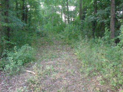 Farma Glavačević - Slukin