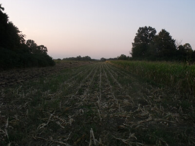 Farma Glavačević - Slukin