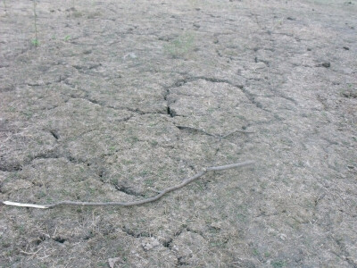 Farma Glavačević - Slukin