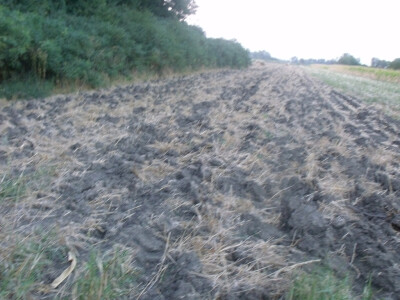 Farma Glavačević - Slukin