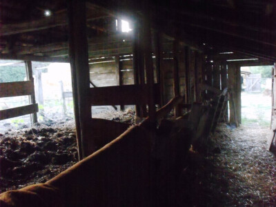 Farma Glavačević - Slukin