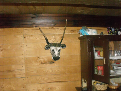 Farma Glavačević - Slukin