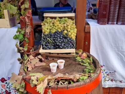 Glišići i ove godine izlagali najteže grozdove na Oplenačkoj berbi, foto: M. Lazarević