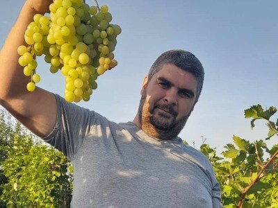 Glišići i ove godine izlagali najteže grozdove na Oplenačkoj berbi, foto: M. Lazarević