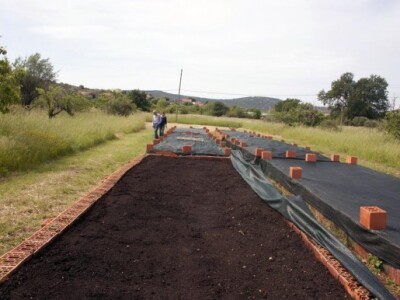 Gliste humus proizvode u bazenima Gliste humus proizvode u bazenima