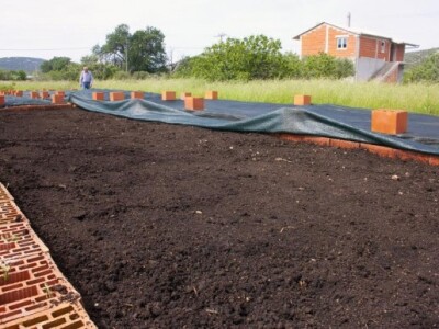 Najveći neprijatelji glistama su krtice Najveći neprijatelji glistama su krtice