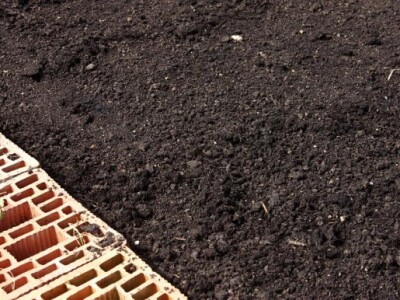 Humus se može očekivati tek nakon pola godine do devet mjeseci Humus se može očekivati tek nakon pola godine do devet mjeseci