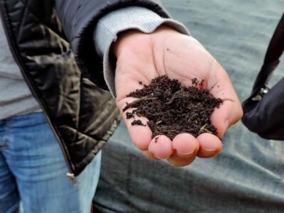 Grubo prosijani humus Grubo prosijani humus