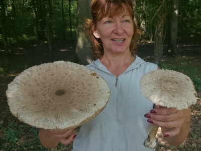 Delikatesne sunčanice