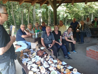 Matija Josipović održao kraće predavanje o gljivama