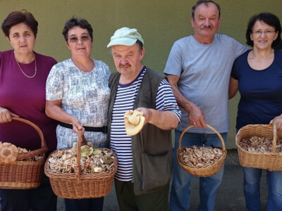 Zadovoljni punim korpama gljiva