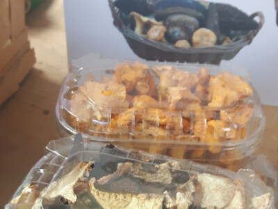 Dani organske proizvodnje ZDK