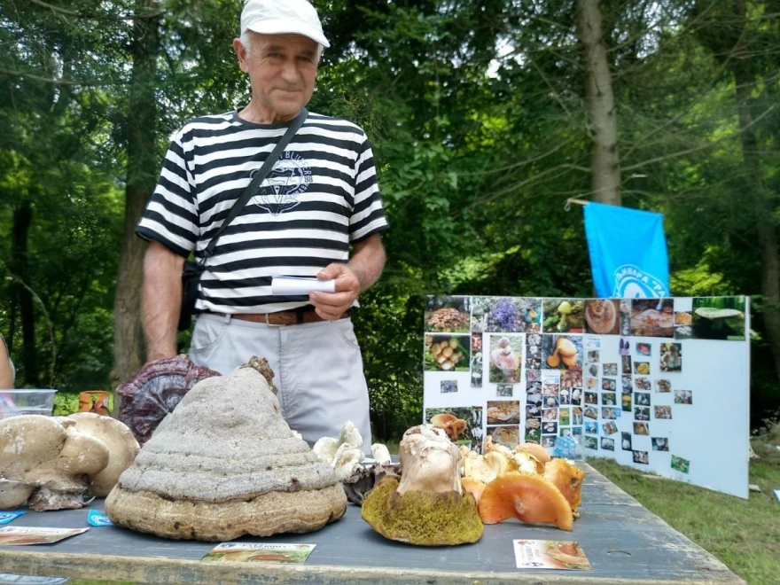 Teovanović