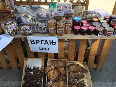 Gljive kao hrana i kao lek