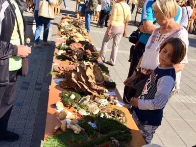 Gljive kao hrana i kao lek