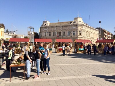 Gljive kao hrana i kao lek