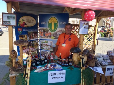 Gljive kao hrana i kao lek