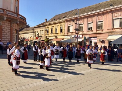 Gljive kao hrana i kao lek