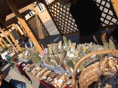 Gljive kao hrana i kao lek