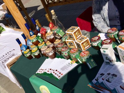 Gljive kao hrana i kao lek