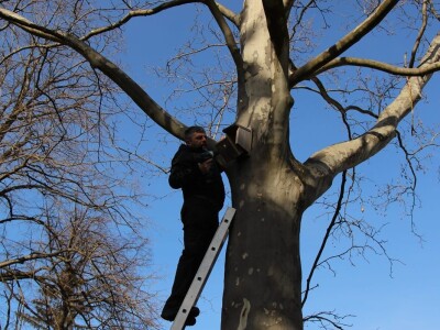 Gljive na našim livadama