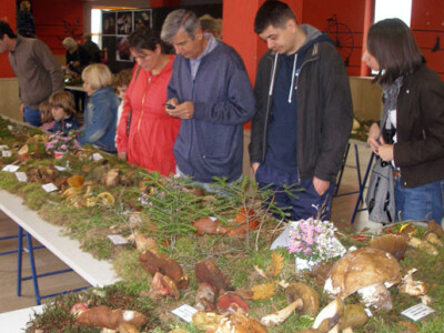 34. Izložba gljiva u Zagrebu