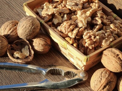 Globalna poljoprivreda