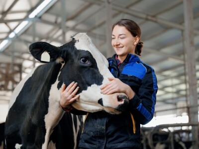 Globalna poljoprivreda